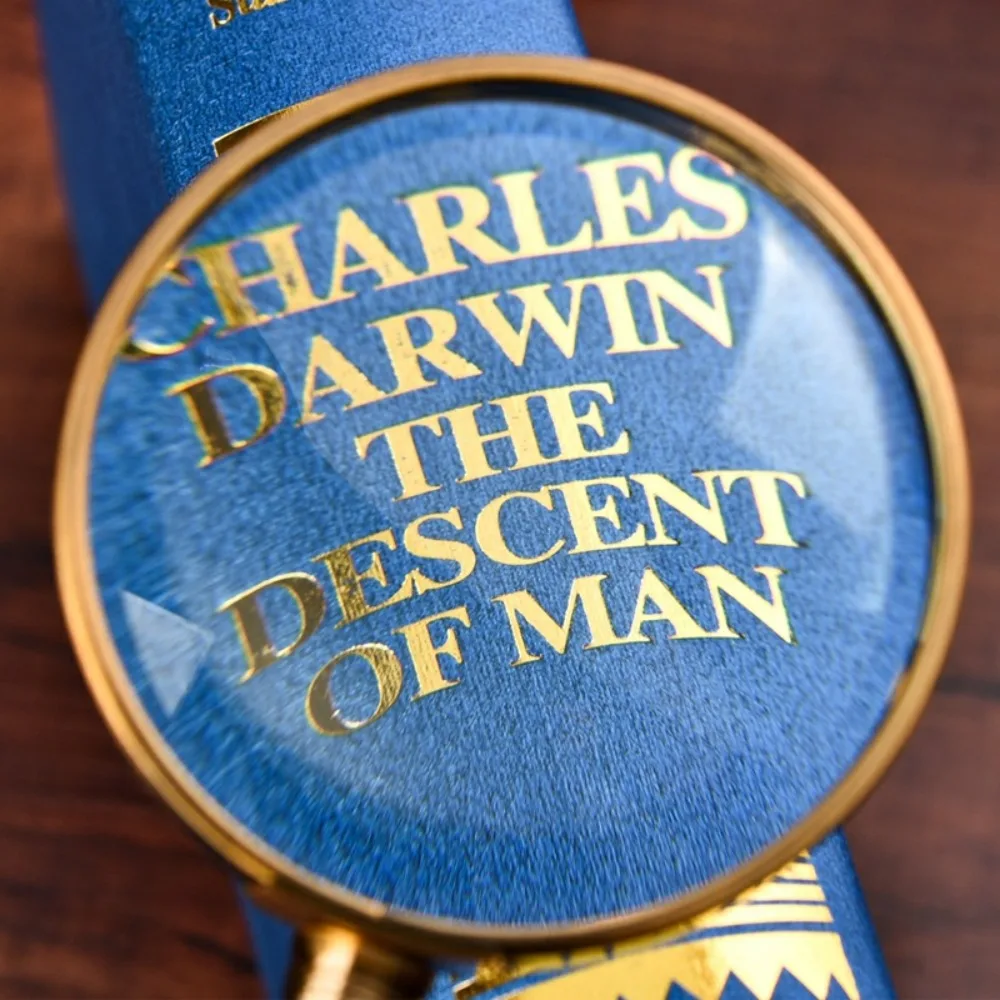 20X Reading Jewelry Antique Loupe Magnifying Glass High Magnification All-Metal Magnifier Power Len
20X Reading Jewelry Antique Loupe Magnifying Glass High Magnification All-Metal Magnifier Power Len