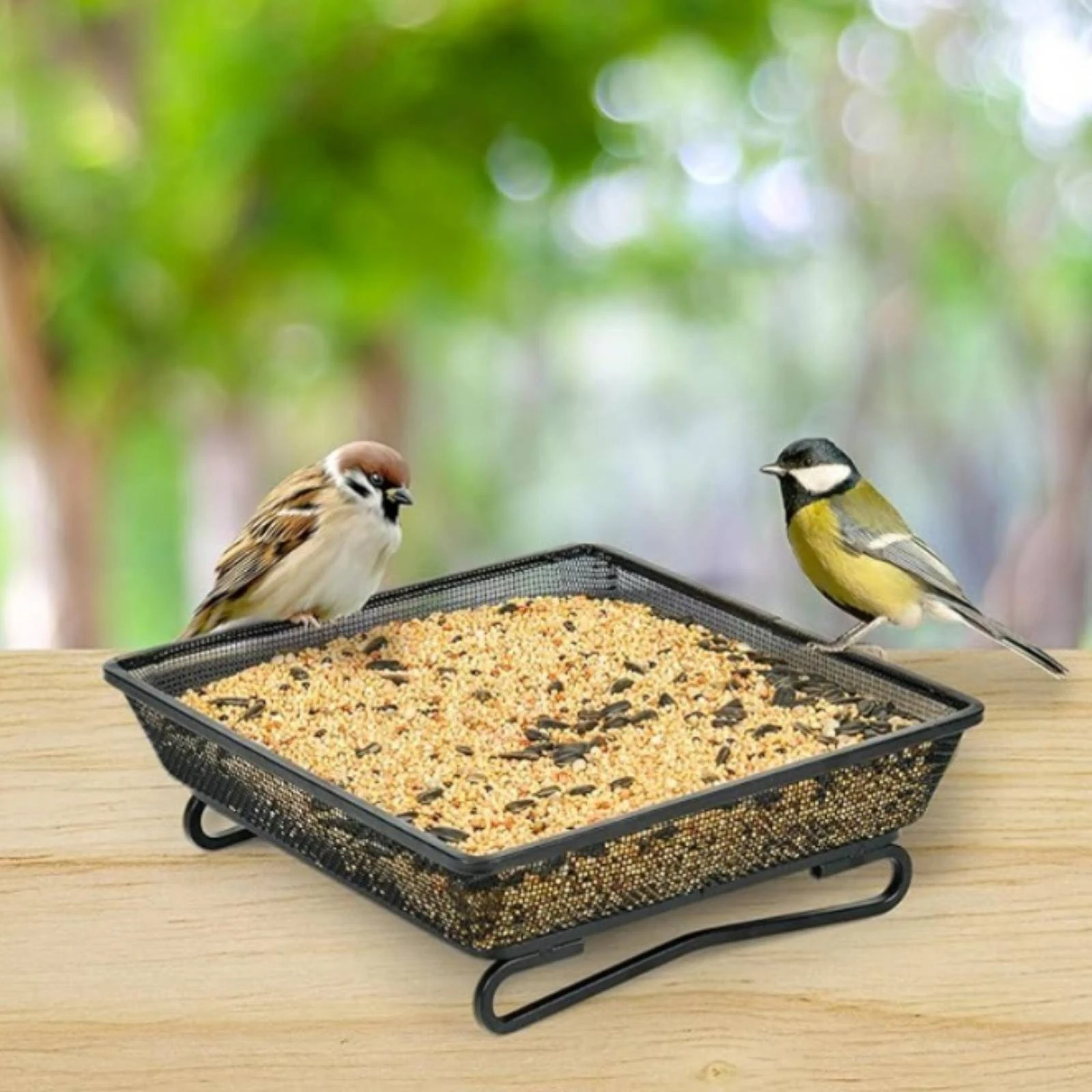 Mesh Bird Feeder Tray Easy to Clean Floor Standing Bird Feeder Metal Seed Tray Drainage Design Rust Resistant
Mesh Bird Feeder Tray Easy to Clean Floor Standing Bird Feeder Metal Seed Tray Drainage Design Rust Resistant