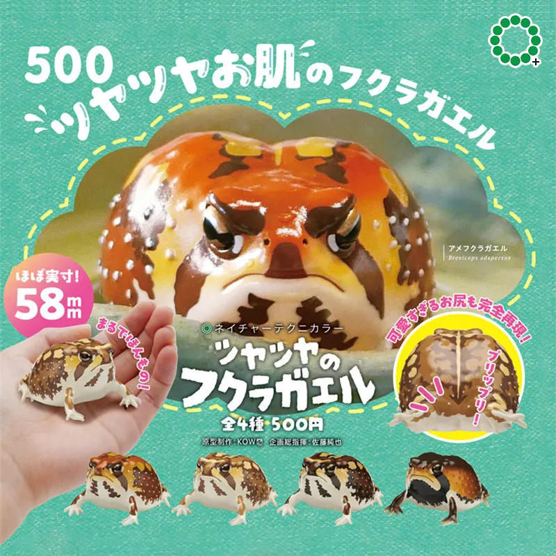 Ikimon Gashapon Realistic Short Headed Wart Frog Simulation Miniature Model Solid Desktop Decor Ornament For Animal Collectors
Ikimon Gashapon Realistic Short Headed Wart Frog Simulation Miniature Model Solid Desktop Decor Ornament For Animal Collectors