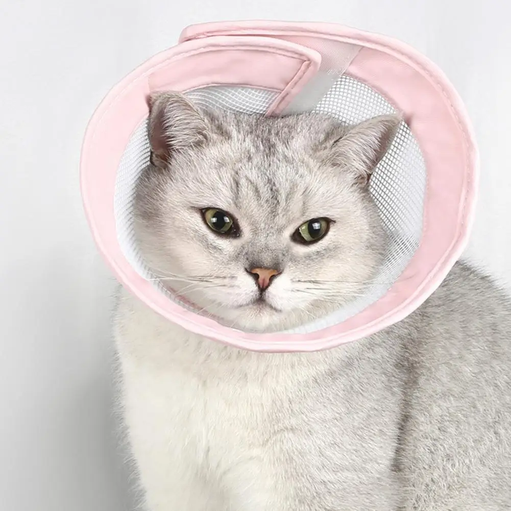 Pet Protective Cover Mesh Cotton Pet Cat Neck Cone Collar Anti-bite Ring Cat Collar Pet Collar Pet Supplies
Pet Protective Cover Mesh Cotton Pet Cat Neck Cone Collar Anti-bite Ring Cat Collar Pet Collar Pet Supplies