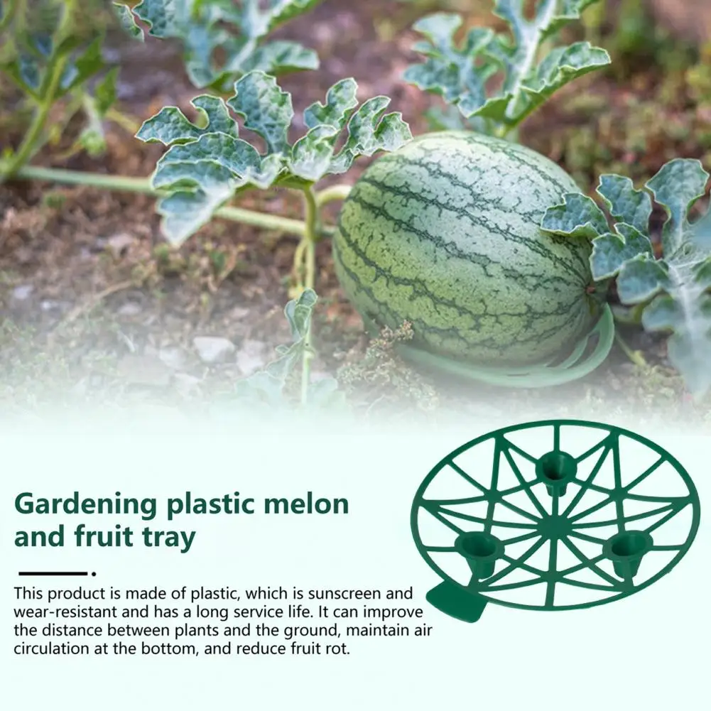 Long-lasting Melon Cradle Melon Cradle for Gardening Melon Cradle Pumpkin Stand Watermelon Holder for Garden Farm for Healthy
Long-lasting Melon Cradle Melon Cradle for Gardening Melon Cradle Pumpkin Stand Watermelon Holder for Garden Farm for Healthy