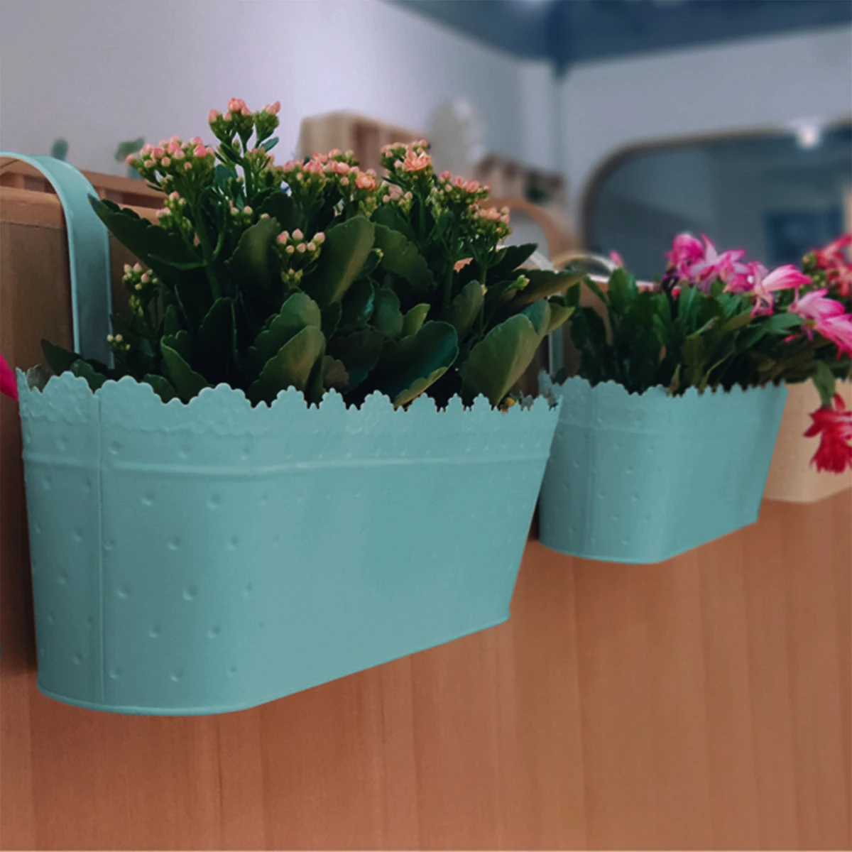 1 шт., подвесной цветочный горшок из кованого железа, матовый крючок, прочный металлический крючок, корзина для домашнего офиса, цветочный декор для хранения
1 шт., подвесной цветочный горшок из кованого железа, матовый крючок, прочный металлический крючок, корзина для домашнего офиса, цветочный декор для хранения