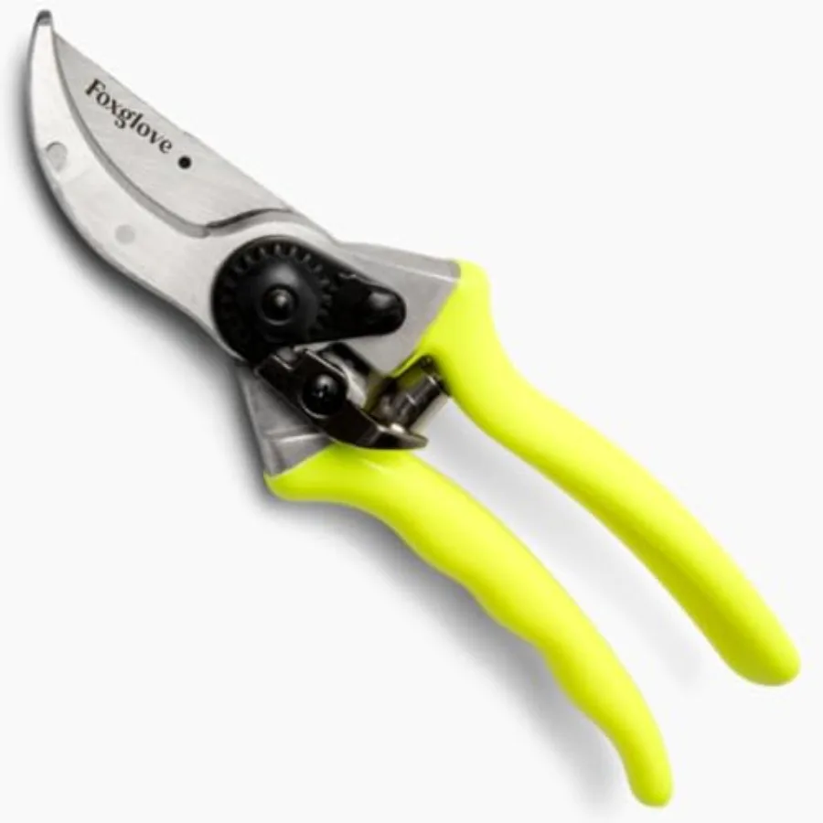 Foxglove Pruning Shears Professional Garden Shears and Bypass Hand Pruners with Japanese SK5 High Carbon Steel Blades Heavy Dut
Foxglove Pruning Shears Professional Garden Shears and Bypass Hand Pruners with Japanese SK5 High Carbon Steel Blades Heavy Dut