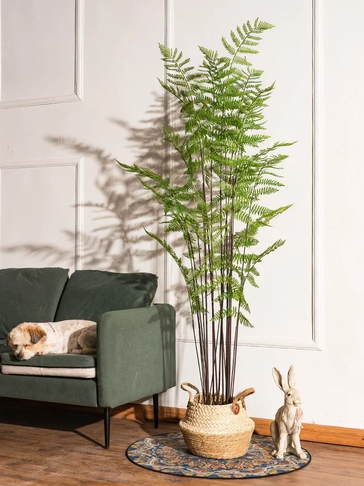 High-End-Simulation grüne Pflanze Farn Baum Wohnzimmer Innen fenster Boden Pflanze Topf gefälschte Baum Dekoration Landschaft
High-End-Simulation grüne Pflanze Farn Baum Wohnzimmer Innen fenster Boden Pflanze Topf gefälschte Baum Dekoration Landschaft