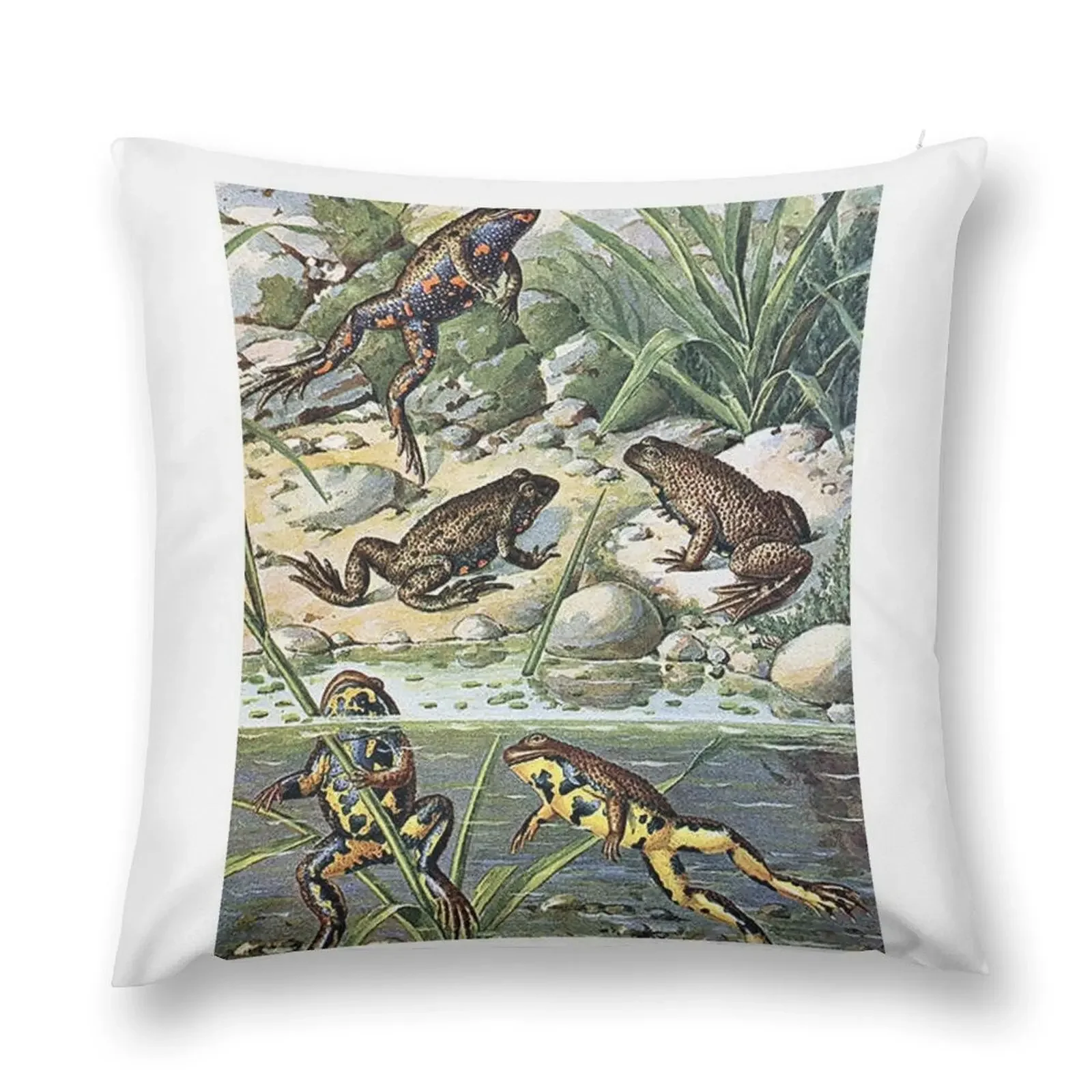 Vintage Frogs Art Print Throw Pillow Sofas Covers Cushion Covers For Living Room luxury decor pillow
Vintage Frogs Art Print Throw Pillow Sofas Covers Cushion Covers For Living Room luxury decor pillow