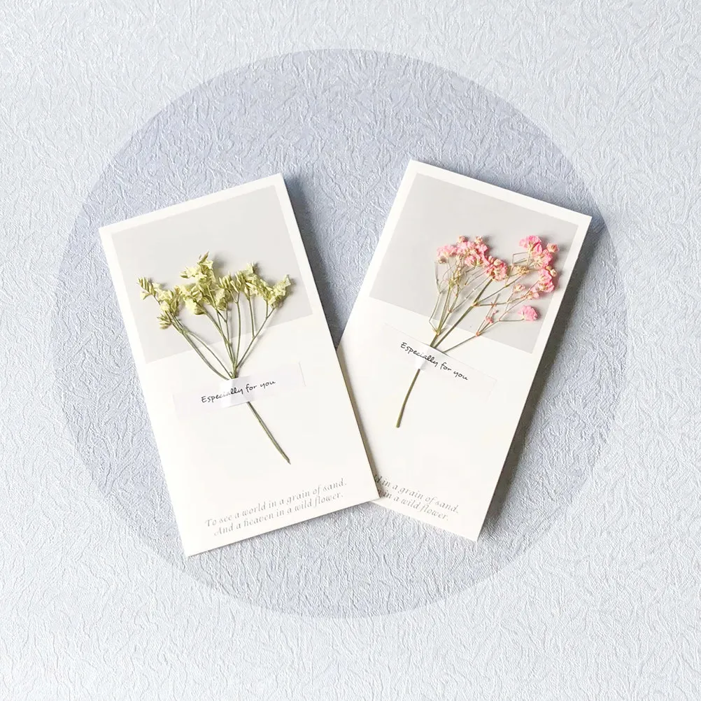 12Pcs Dried Flower Greeting Cards Eco Friendly Romantic Thank You Cards for Valentine's Day Anniversary Birthday Party
12Pcs Dried Flower Greeting Cards Eco Friendly Romantic Thank You Cards for Valentine's Day Anniversary Birthday Party