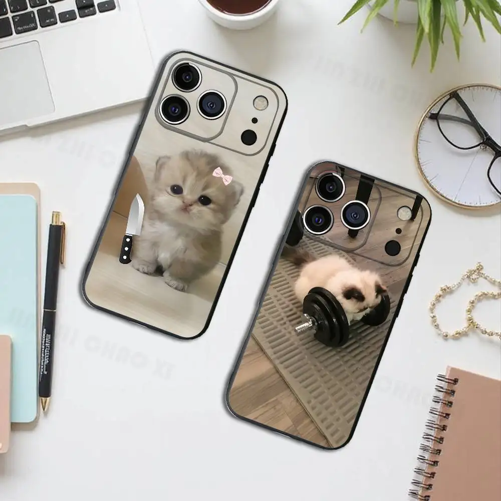Cut Little Cat Silicone Phone Case For IPhone 17 16 15 14 13 12 11 X XS Plus Pro Max Shockproof Soft Cover
Cut Little Cat Silicone Phone Case For IPhone 17 16 15 14 13 12 11 X XS Plus Pro Max Shockproof Soft Cover
