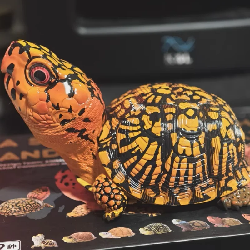 Оригинальная команда дизайна «Смея и выращивание жира» 6 см: Animalheavenly Body Главный командир прототипов: Rebish Коллекционные игрушки
Оригинальная команда дизайна «Смея и выращивание жира» 6 см: Animalheavenly Body Главный командир прототипов: Rebish Коллекционные игрушки