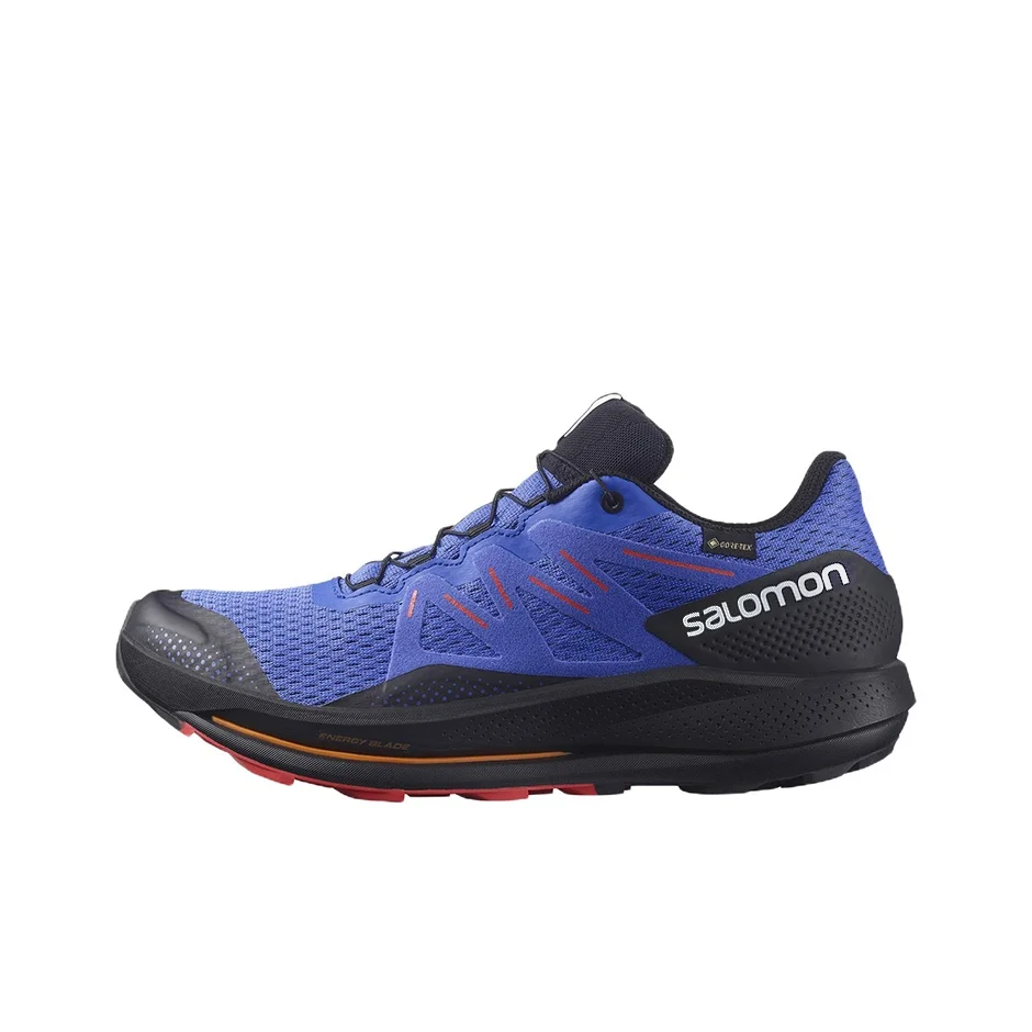 SALOMON Pulsar Trail Gore Tex 'Blue Black' 416080
SALOMON Pulsar Trail Gore Tex 'Blue Black' 416080