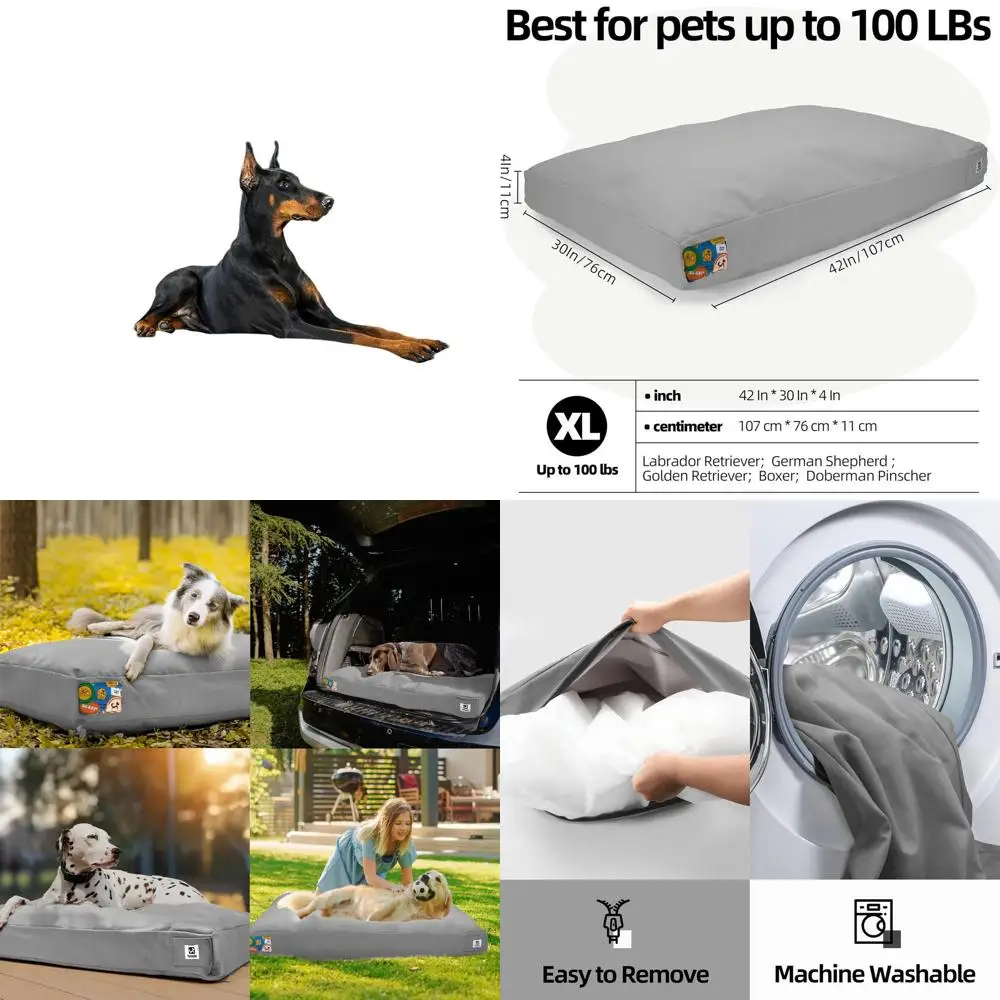 Прочная водонепроницаемая парусиновая кровать для собак — большой размер, съемный чехол, идеально подходит для улицы и ящиков (светло-серый)
Прочная водонепроницаемая парусиновая кровать для собак — большой размер, съемный чехол, идеально подходит для улицы и ящиков (светло-серый)
