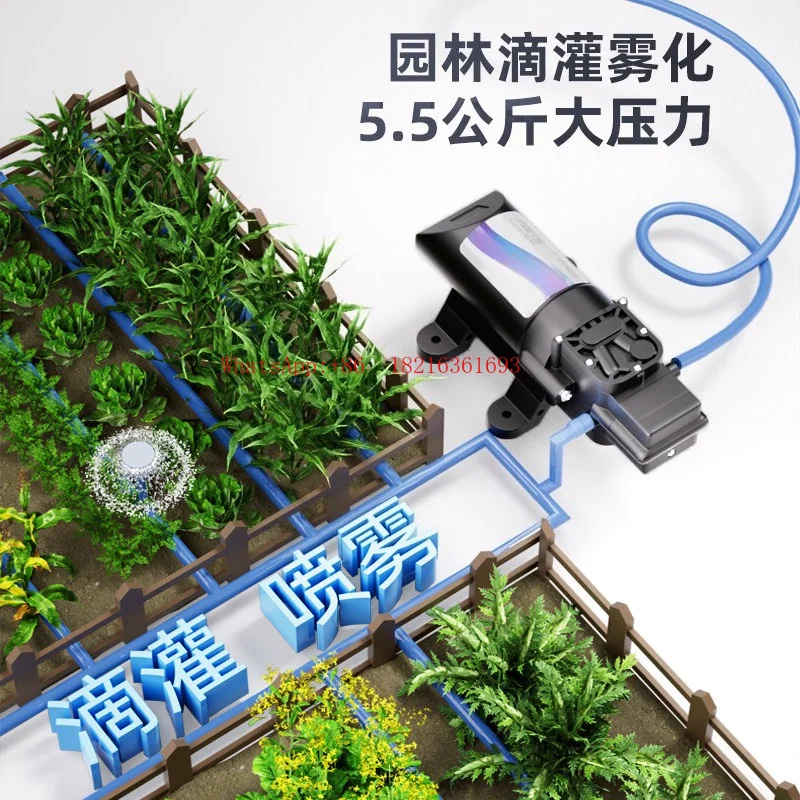 NEW FL-2202A High Pressure Atomizing Pump Micro DC Pump Unmanned Booster Electric Water Pump
NEW FL-2202A High Pressure Atomizing Pump Micro DC Pump Unmanned Booster Electric Water Pump