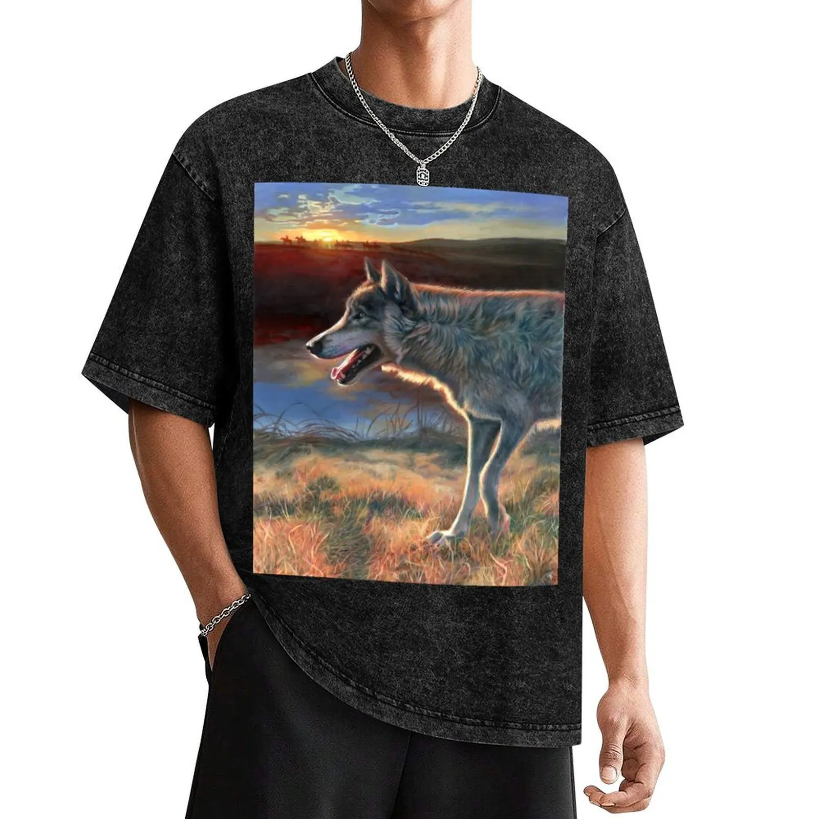Two Socks - Dances with Wolves T-Shirt anime clothes graphic tee shirt designer shirts men clothing
Two Socks - Dances with Wolves T-Shirt anime clothes graphic tee shirt designer shirts men clothing