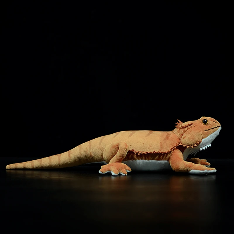 Cute Simulation Pogona Vitticeps Lguana Lizard Cute Realistic Stuffed Plush Toy Soft Agamidae Animals Doll Model For Boys Gifts
Cute Simulation Pogona Vitticeps Lguana Lizard Cute Realistic Stuffed Plush Toy Soft Agamidae Animals Doll Model For Boys Gifts