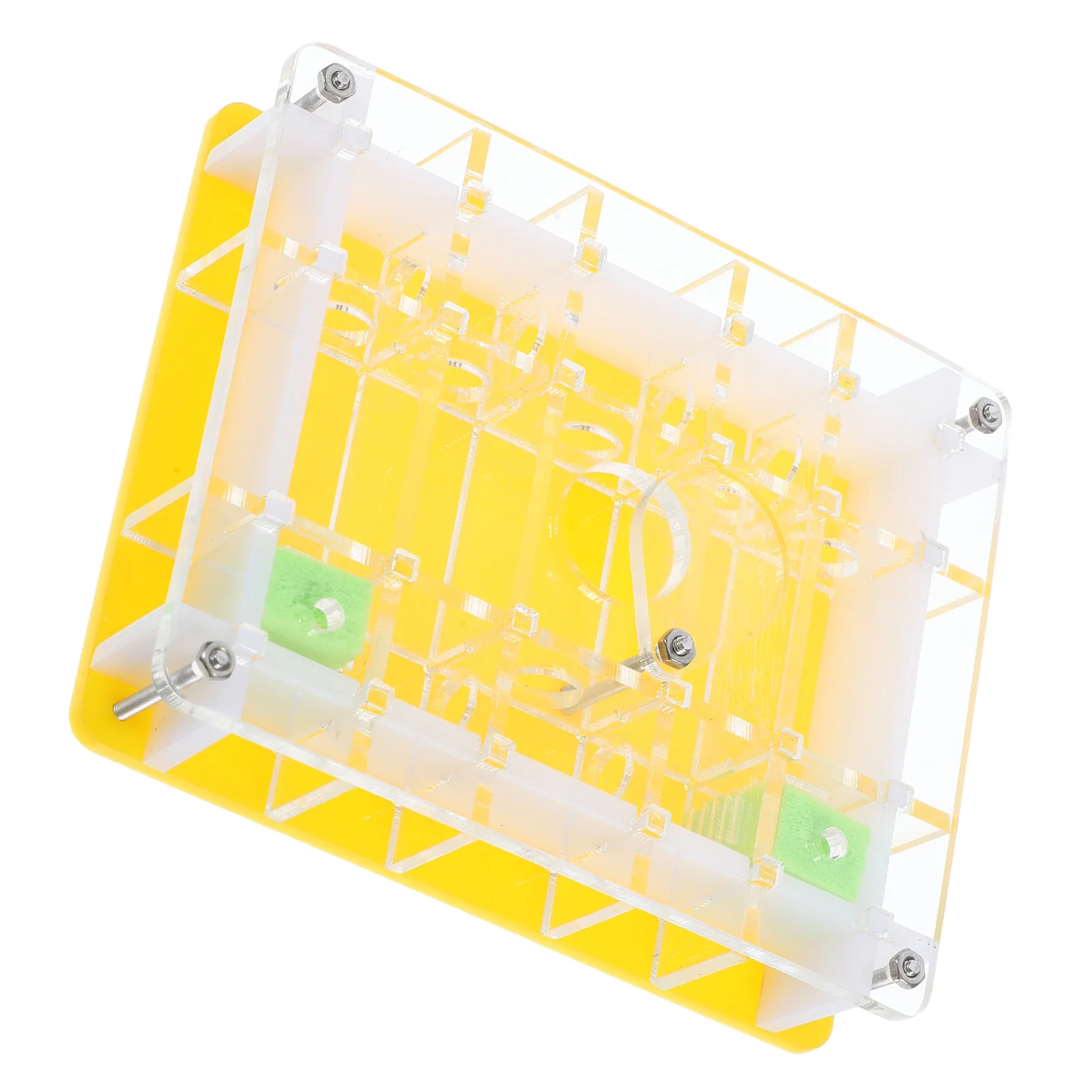 1 set Nest Box Acrylic Breeding Box Moisturized Transparent Habitat Science Experiment Gift Ant Observation Ecological Nest
1 set Nest Box Acrylic Breeding Box Moisturized Transparent Habitat Science Experiment Gift Ant Observation Ecological Nest