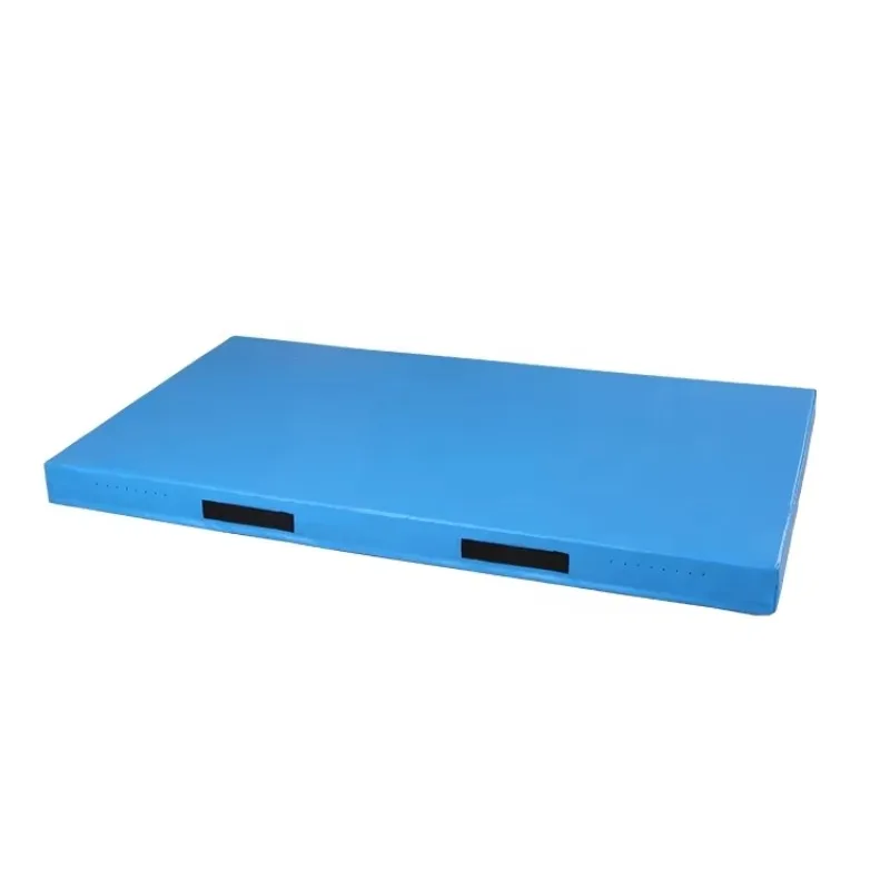 2026 Waterproof Washable Tumbling Mat Foldable Gymnastics Landing Floor Pad
2026 Waterproof Washable Tumbling Mat Foldable Gymnastics Landing Floor Pad