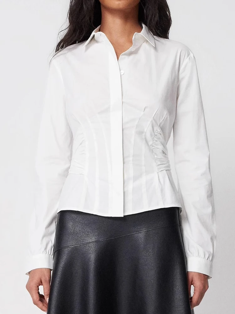 Retro Belted Short Sleeve Women's Shirt Long Sleeve Slim Fit Cotton Polyester Blend Pure Color Business Casual Shirt
Retro Belted Short Sleeve Women's Shirt Long Sleeve Slim Fit Cotton Polyester Blend Pure Color Business Casual Shirt