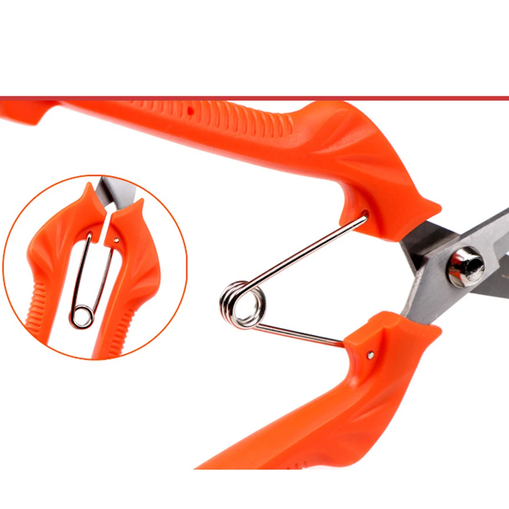 Pruning Shears Gardening Scissors Stainless Steel Durable Sharp Blade Ergonomic Handle Cushion Shock Absorber
Pruning Shears Gardening Scissors Stainless Steel Durable Sharp Blade Ergonomic Handle Cushion Shock Absorber