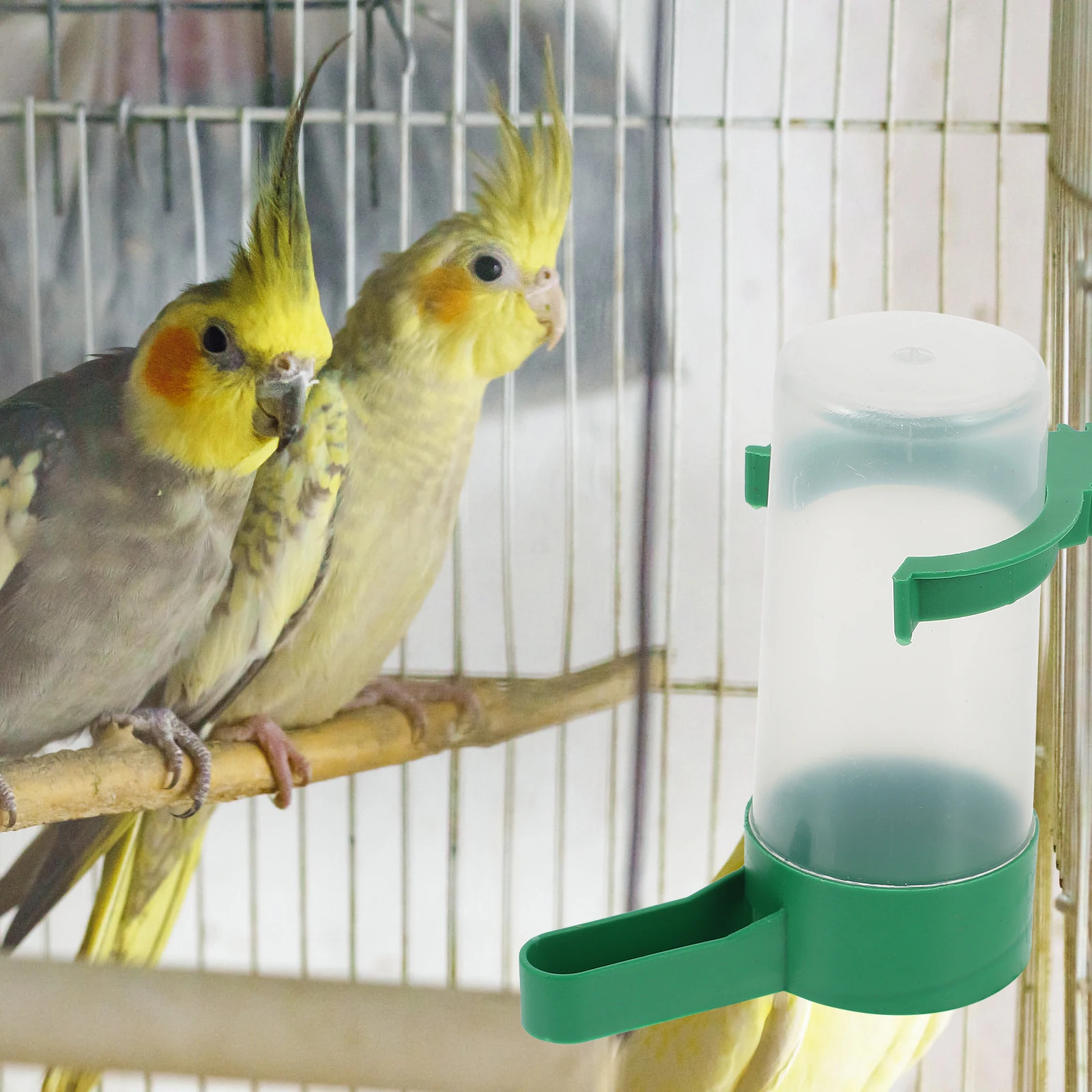 10pcs Automatic Drinking Bowls 12 inch Water Dispenser for Pigeon Parrots Bright Color Plastic Pet Supplies Feeder Cage Bird
10pcs Automatic Drinking Bowls 12 inch Water Dispenser for Pigeon Parrots Bright Color Plastic Pet Supplies Feeder Cage Bird