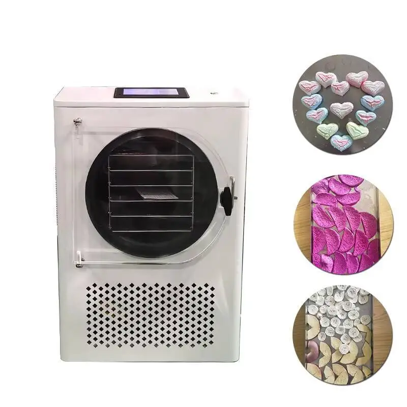 Energy - Efficient Freeze Dryer Sale, Perfect For Meat, Fruits, Vegetables Drying
Energy - Efficient Freeze Dryer Sale, Perfect For Meat, Fruits, Vegetables Drying