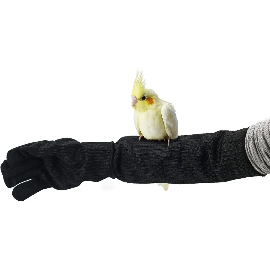 Перчатки против укусов птиц, защита уровня 5, жевательные рабочие защитные перчатки для попугаев для корелл
Перчатки против укусов птиц, защита уровня 5, жевательные рабочие защитные перчатки для попугаев для корелл
