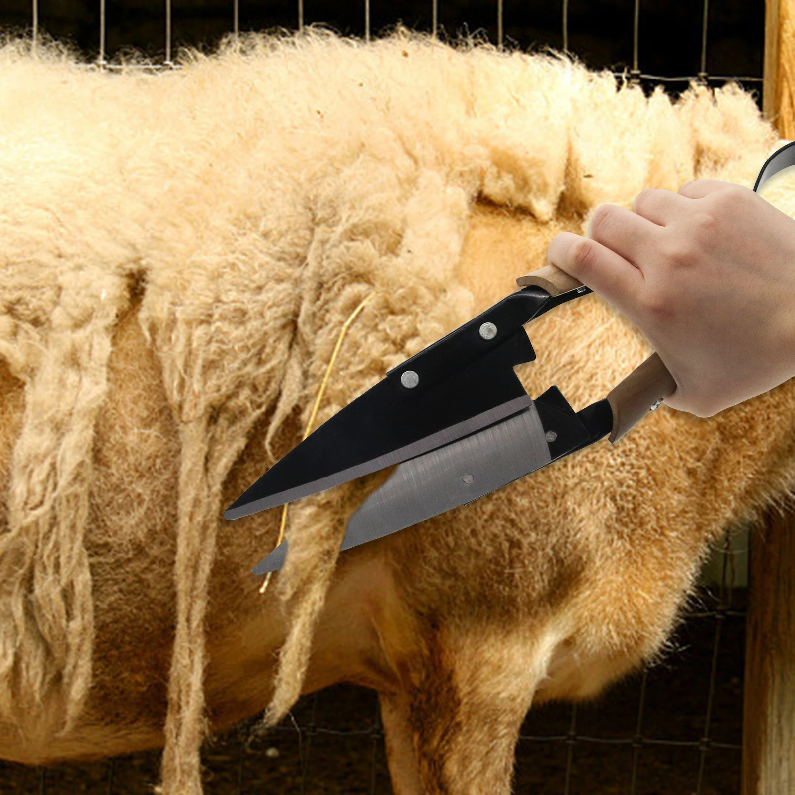 Ergonomic Heavy Duty Onion/Sheep Topiary Shear Gardening Pruning Shear Wool Shearin Tree Branch Scissors
Ergonomic Heavy Duty Onion/Sheep Topiary Shear Gardening Pruning Shear Wool Shearin Tree Branch Scissors