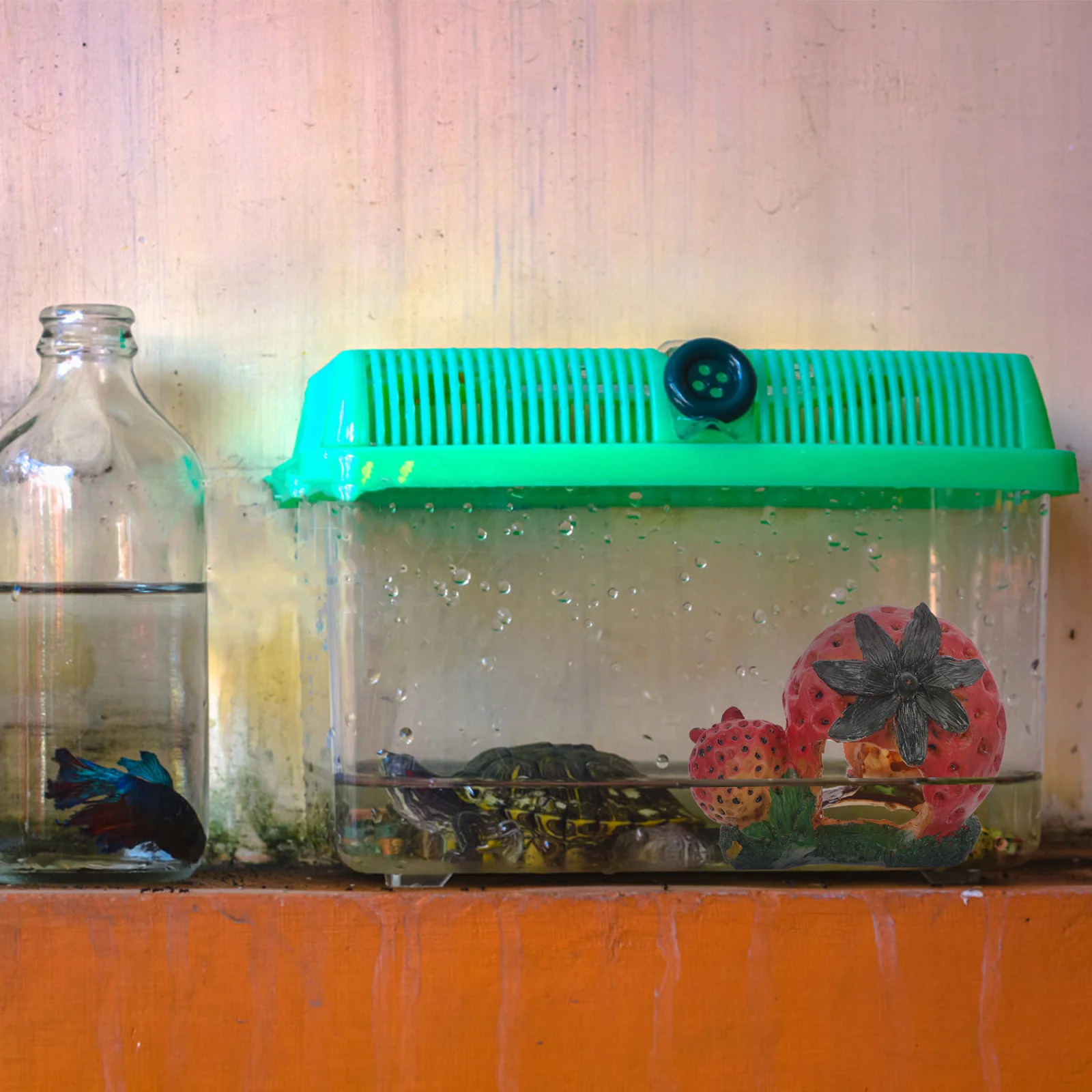 Reptile Basking Platform Resin Strawberry Cave Hideout for Turtles Lizards Frogs Snakes Terrarium Habitat Shelter Decor
Reptile Basking Platform Resin Strawberry Cave Hideout for Turtles Lizards Frogs Snakes Terrarium Habitat Shelter Decor