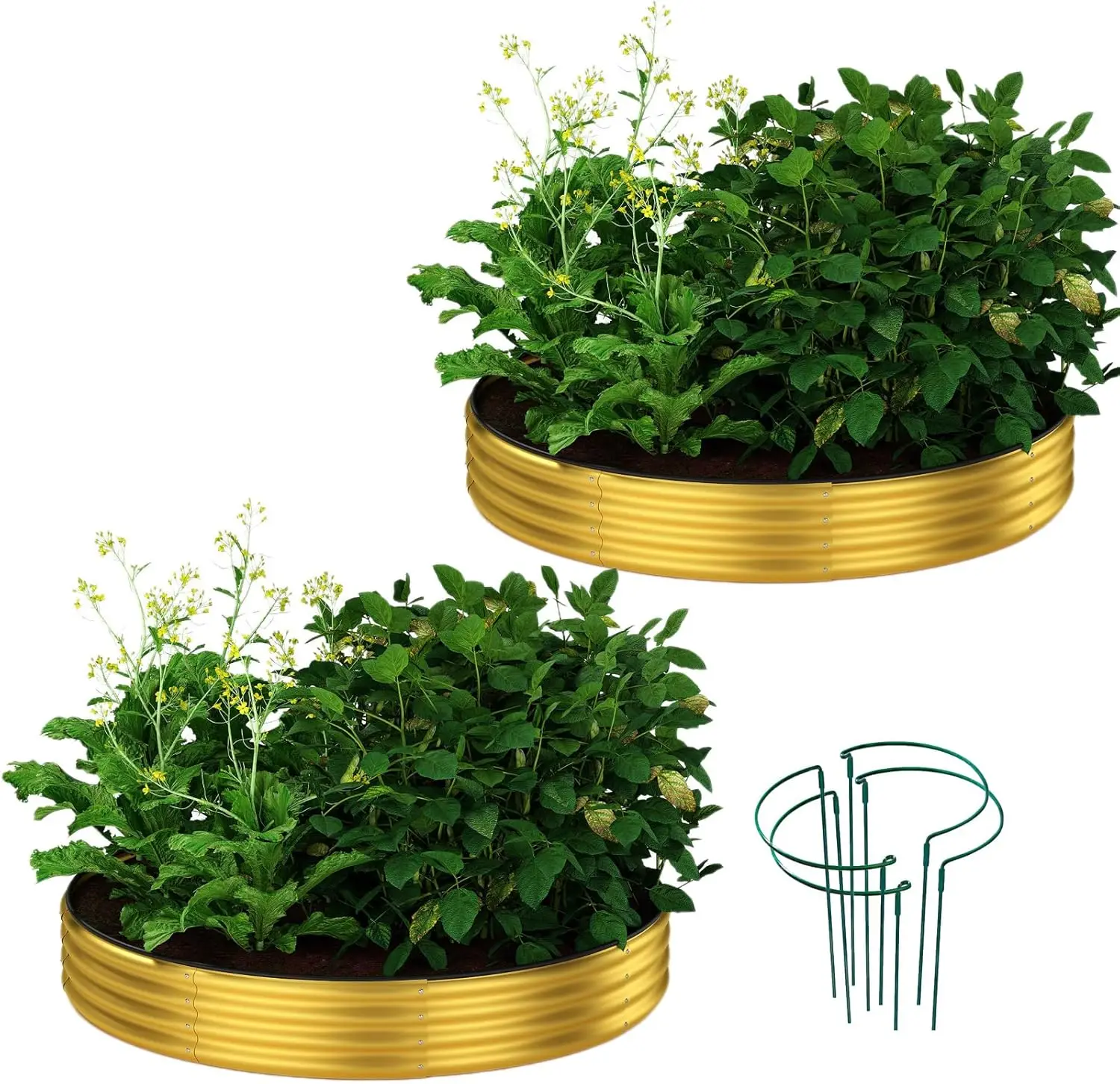 Galvanized Metal Planter Round Raised Garden Bed Kit Outdoor 3x3x1ft Gold 2PC
Galvanized Metal Planter Round Raised Garden Bed Kit Outdoor 3x3x1ft Gold 2PC