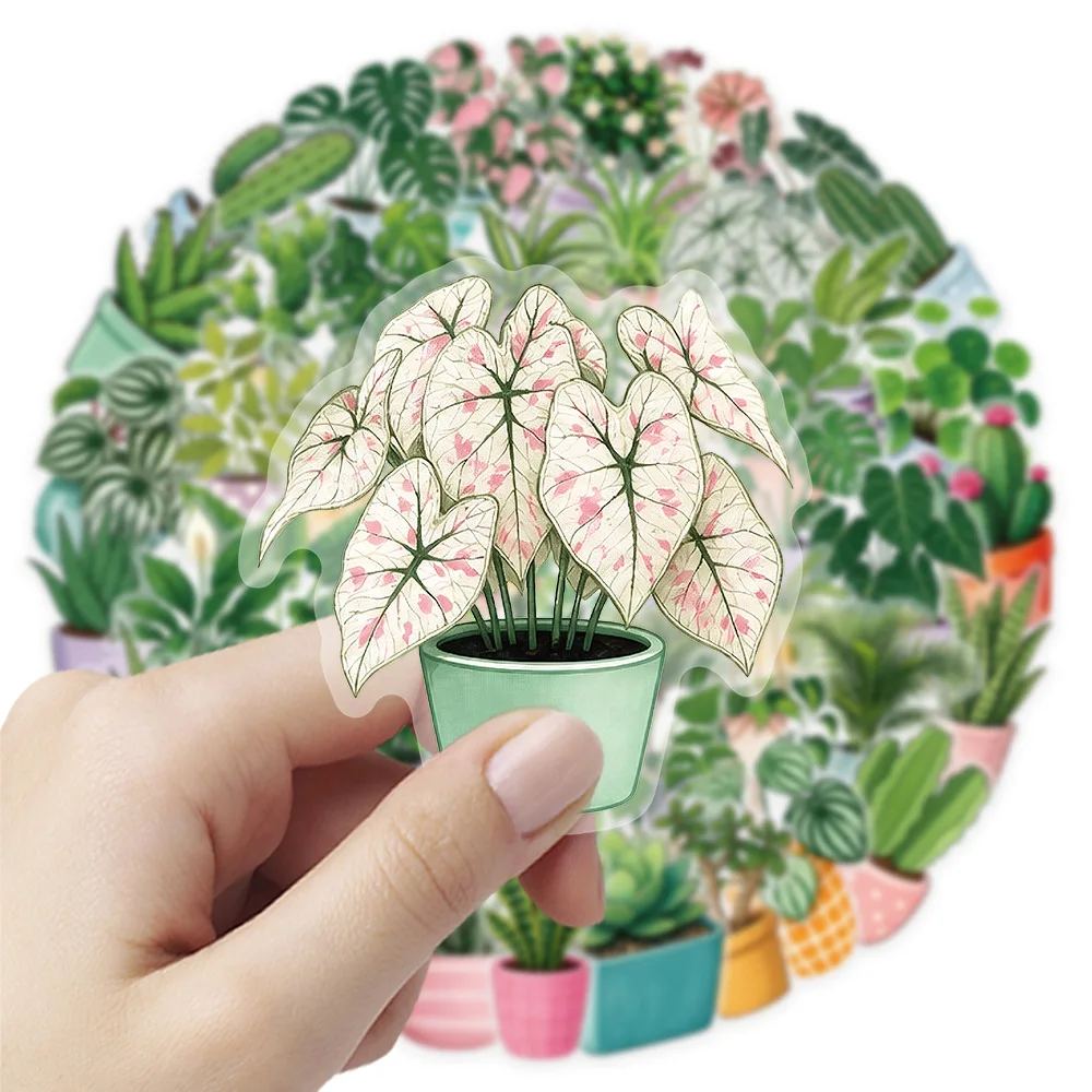 50PCS Green Plant Stickers Cartoon Cactus INS Style Graffiti Decoration Suitcase Mobile Phone Case Notebook Water Cup Toys Gifts
50PCS Green Plant Stickers Cartoon Cactus INS Style Graffiti Decoration Suitcase Mobile Phone Case Notebook Water Cup Toys Gifts