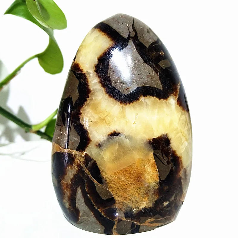 Natural Stone Septarian Crystal Freeform Ornaments Witchcraft Energy Spiritual Meditation Healing Exorcism Feng Shui Room Decor
Natural Stone Septarian Crystal Freeform Ornaments Witchcraft Energy Spiritual Meditation Healing Exorcism Feng Shui Room Decor