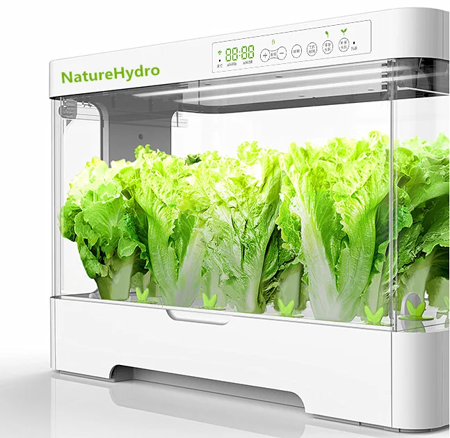 Крытый сад Мини-умные органические гидропонные системы выращивания со светодиодной подсветкой
Крытый сад Мини-умные органические гидропонные системы выращивания со светодиодной подсветкой