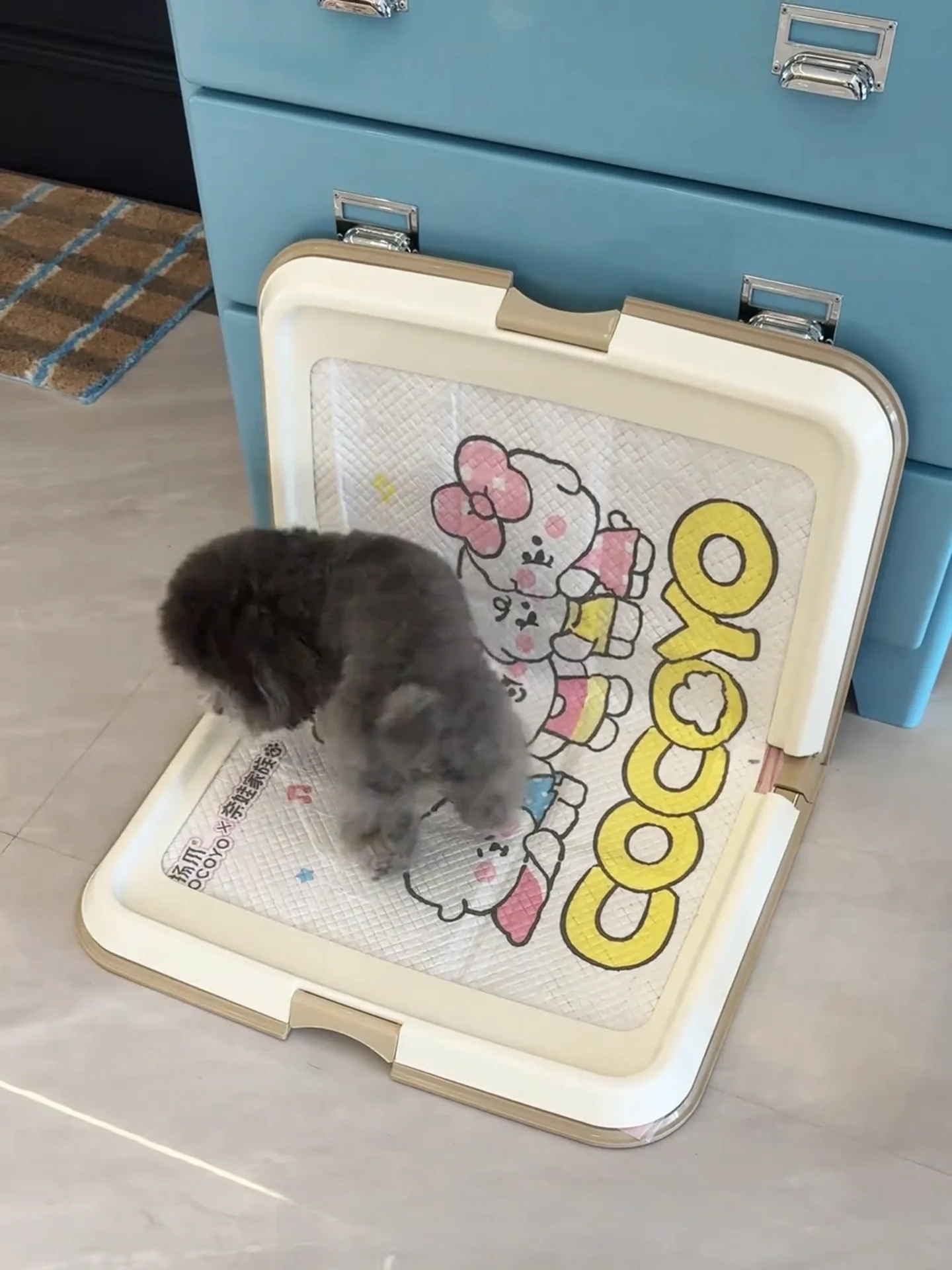 Большой складной туалет для собак: лоток-урна для мелких и средних пород, с защитой от брызг, незаменимый инструмент для ухода за животом.
Большой складной туалет для собак: лоток-урна для мелких и средних пород, с защитой от брызг, незаменимый инструмент для ухода за животом.