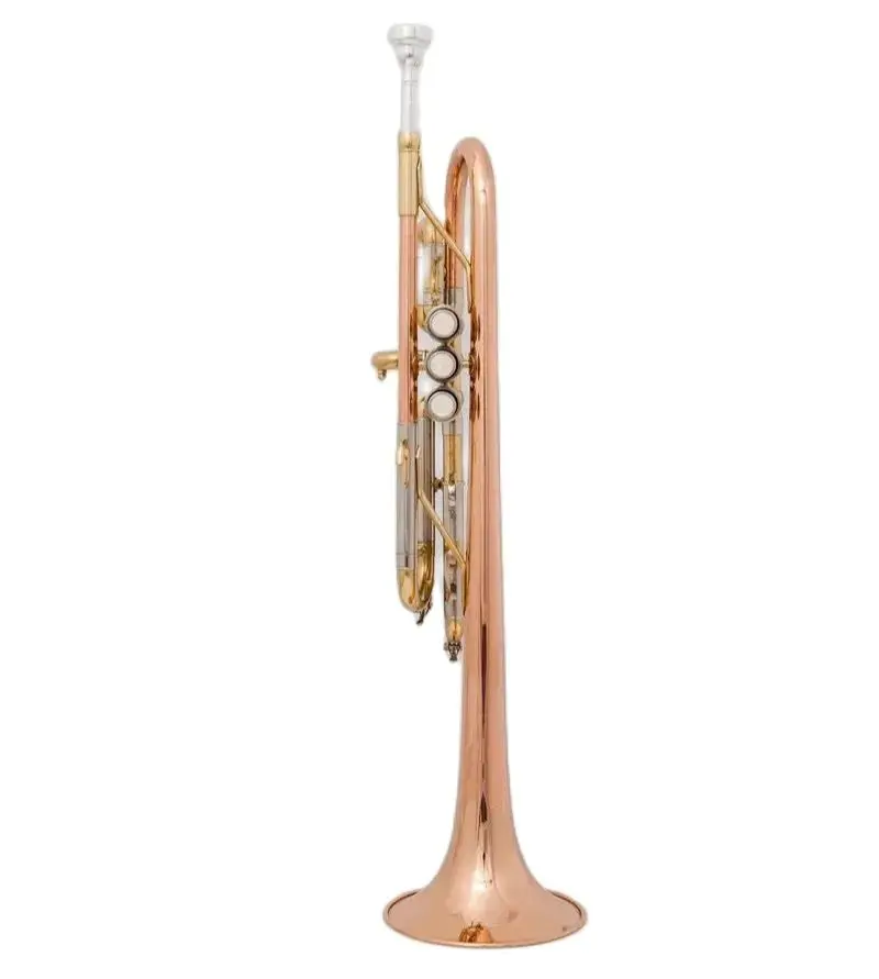 Professional C Trumpet Music Instruments Profesional Trumpets C Tone Mouthpiece Accessories With Case
Professional C Trumpet Music Instruments Profesional Trumpets C Tone Mouthpiece Accessories With Case