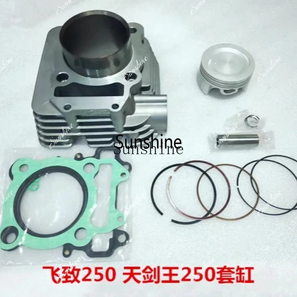 Motorcycle YBR250 Tianjian King YS250 Feizhi 250 sets of cylinders
Motorcycle YBR250 Tianjian King YS250 Feizhi 250 sets of cylinders