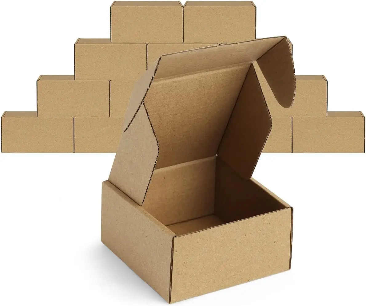 12 Pack 4x4x2 Small Shipping Boxes - Corrugated Cardboard Mailer Boxes for Small Business, Bulk
12 Pack 4x4x2 Small Shipping Boxes - Corrugated Cardboard Mailer Boxes for Small Business, Bulk
