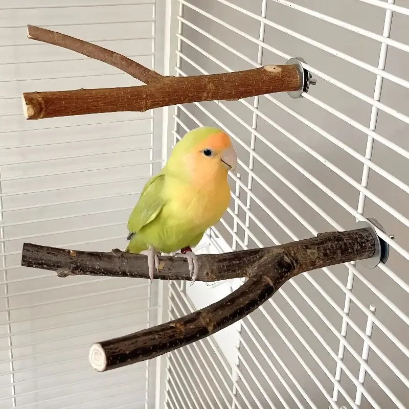 Natural Wood Bird Cage Hanging Branch Rack 15/20cm Chew Bite Stick Toy for Small Animals Pet Supplies Accessory Bird Chew Toys
Natural Wood Bird Cage Hanging Branch Rack 15/20cm Chew Bite Stick Toy for Small Animals Pet Supplies Accessory Bird Chew Toys