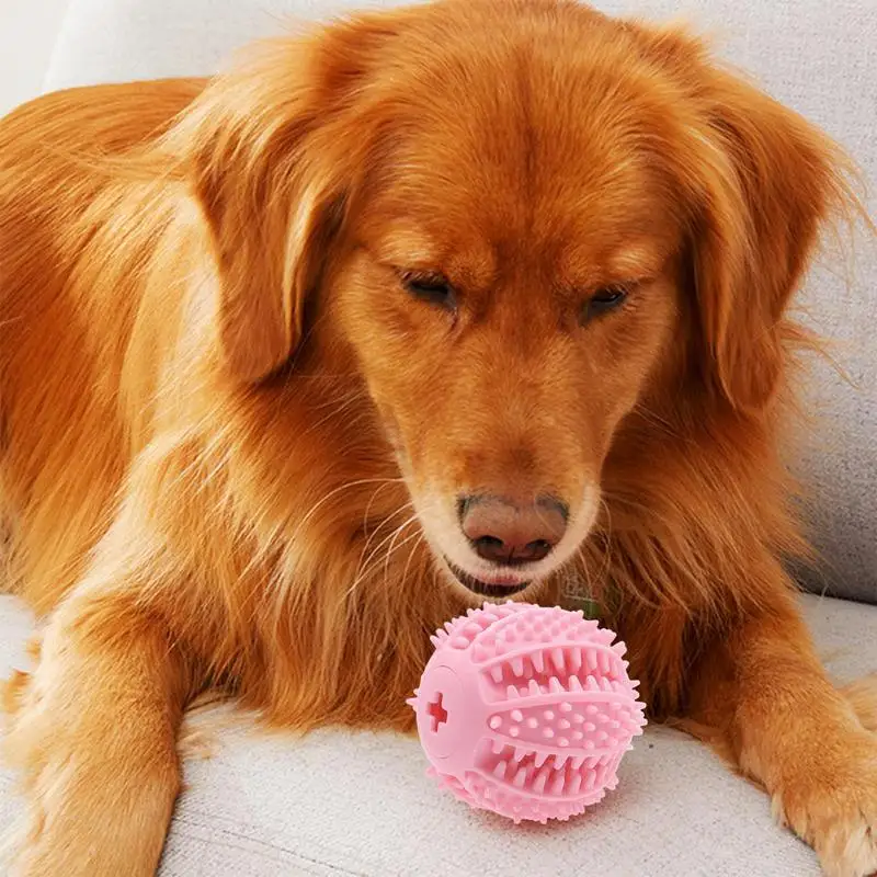 Treat Dispenser Ball For Dog Funny Treat Ball Dog Toy Portable Interactive Dog Toys Dog Tooth Cleaning Toy Ball For Home Travel
Treat Dispenser Ball For Dog Funny Treat Ball Dog Toy Portable Interactive Dog Toys Dog Tooth Cleaning Toy Ball For Home Travel