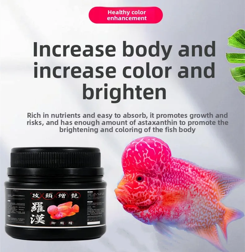 LONGNIAN Flowerhorn Pro Growth Food - Head Protuberance & Color Enhancing Pellets for Kok Development - High Protein Formula
LONGNIAN Flowerhorn Pro Growth Food - Head Protuberance & Color Enhancing Pellets for Kok Development - High Protein Formula