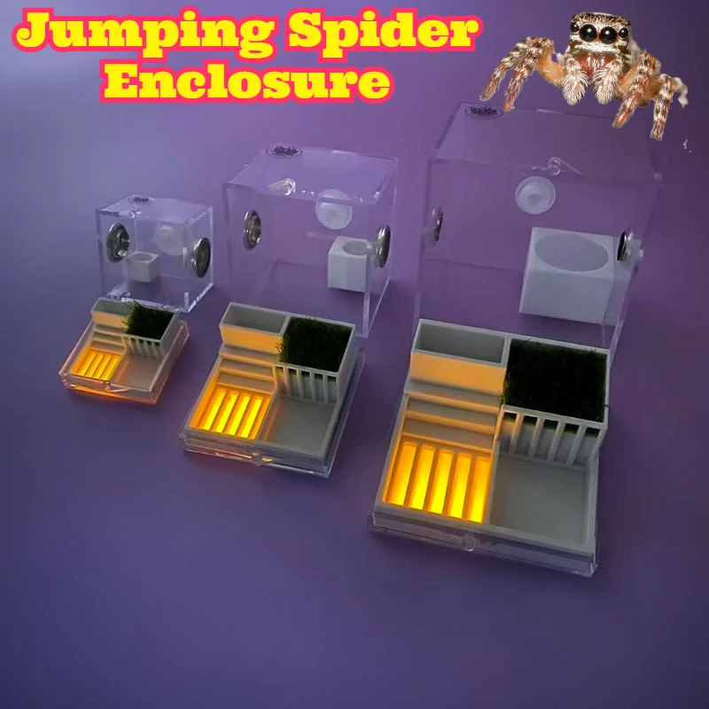 3D Printed High Clear Acrylic Jumping Spider Beetle Breeding Box Transparent Reptile Tank Desktop Crawler Landscape Habitat Pet
3D Printed High Clear Acrylic Jumping Spider Beetle Breeding Box Transparent Reptile Tank Desktop Crawler Landscape Habitat Pet