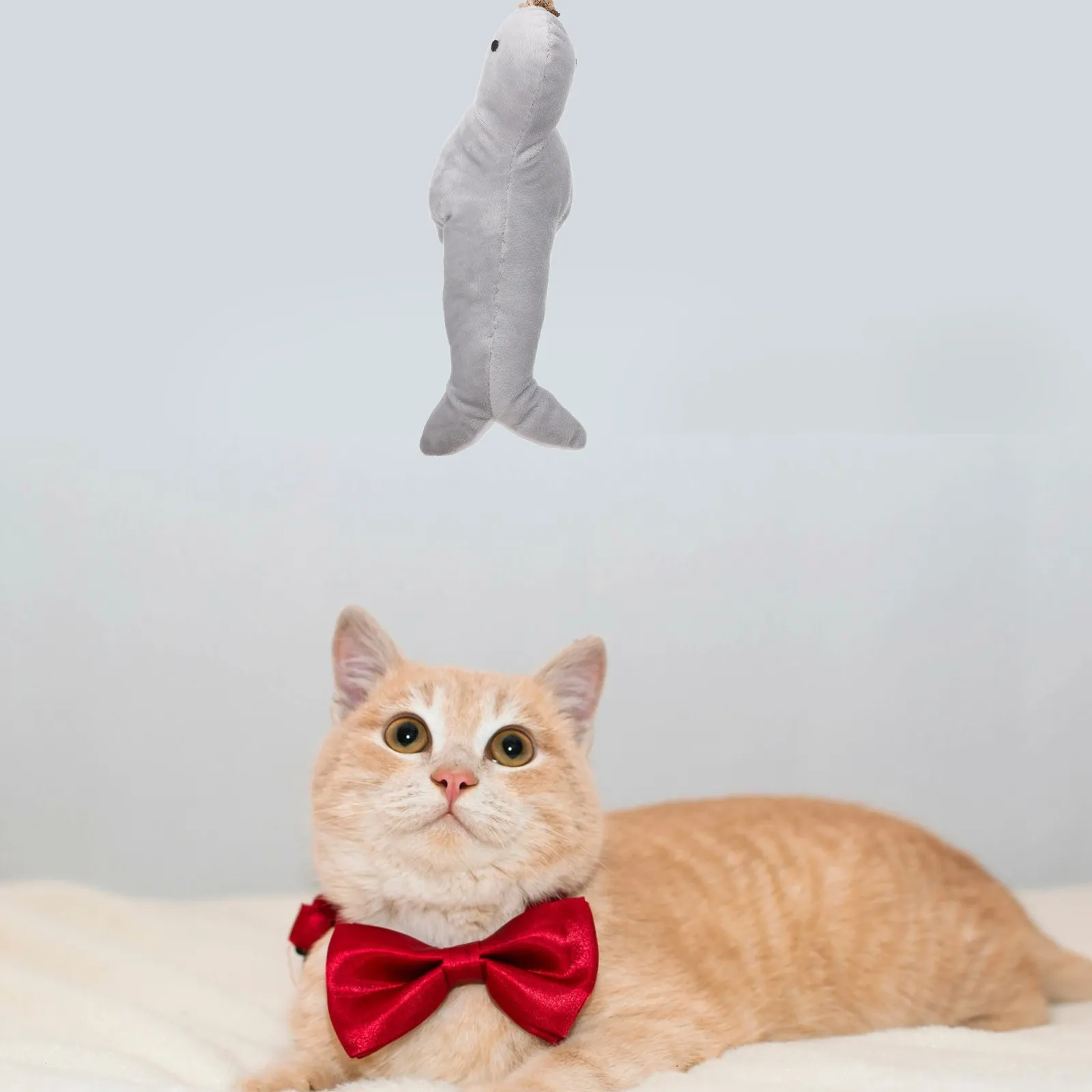 Cat Pillow Interactive Catnip Indoor Play Seal Shape Cute Kitten Supply Pet Owner Must Have Soft Comfortable Pillow for Cats
Cat Pillow Interactive Catnip Indoor Play Seal Shape Cute Kitten Supply Pet Owner Must Have Soft Comfortable Pillow for Cats