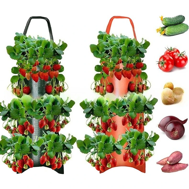 5/10 pcs Hanging Strawberry Planter hanging planter, Vertical Garden Bag for Balcony, Durable Outdoor Indoor Grow Bag
5/10 pcs Hanging Strawberry Planter hanging planter, Vertical Garden Bag for Balcony, Durable Outdoor Indoor Grow Bag