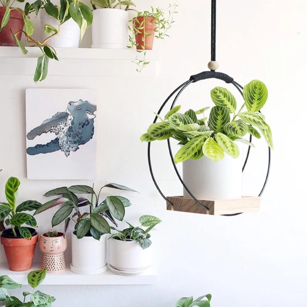 Hanging Planter for Indoor Plants Plant Hanger with Wood Base Modern Boho Macrame Plant Hanger Wall Ceiling Window Stands
Hanging Planter for Indoor Plants Plant Hanger with Wood Base Modern Boho Macrame Plant Hanger Wall Ceiling Window Stands