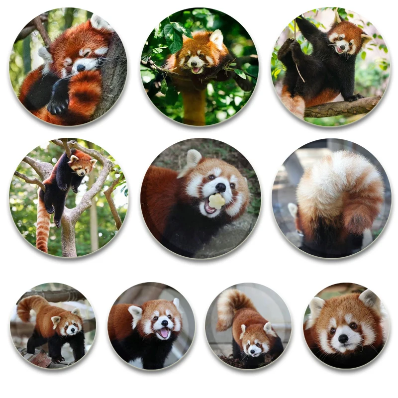 Ailurus Fulgens Brooches Daily Stylish Handmade Ornament Badge Cute Animals 32/44/58mm Simple Button Pins Gifts for Friends
Ailurus Fulgens Brooches Daily Stylish Handmade Ornament Badge Cute Animals 32/44/58mm Simple Button Pins Gifts for Friends
