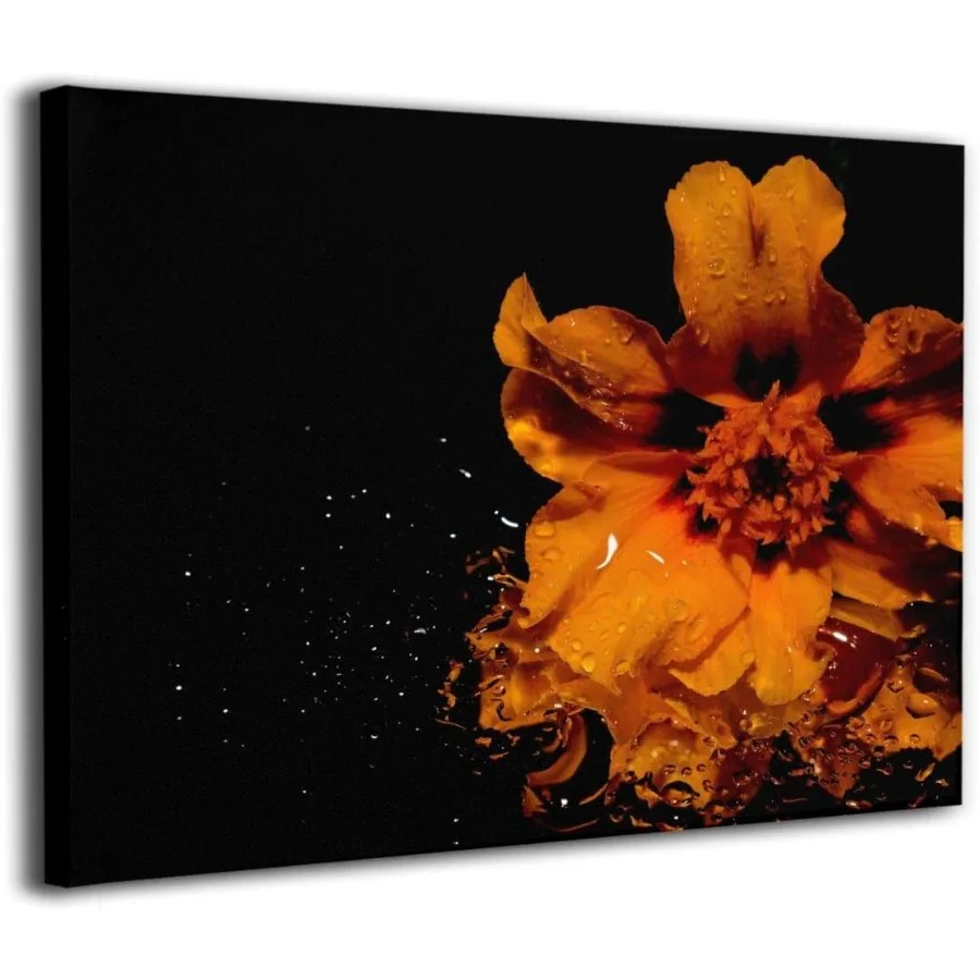 Golf Ladies E525 Wedge for Precision Approach Shots on Fairways and Greens Enhanced Spin Control and Trajectory Management with
Golf Ladies E525 Wedge for Precision Approach Shots on Fairways and Greens Enhanced Spin Control and Trajectory Management with