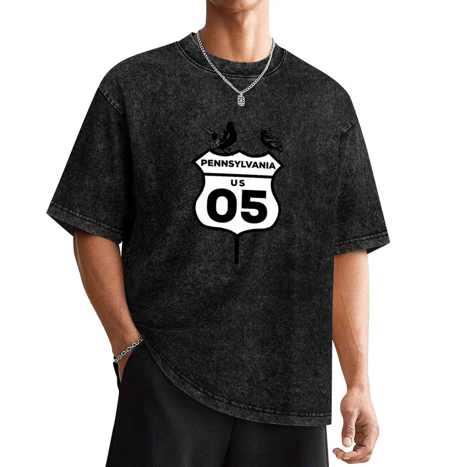 Two Blackbirds on a Highway Sign T-Shirt sweat for a boy Personalized t-shirt graphics Men's t-shirts
Two Blackbirds on a Highway Sign T-Shirt sweat for a boy Personalized t-shirt graphics Men's t-shirts