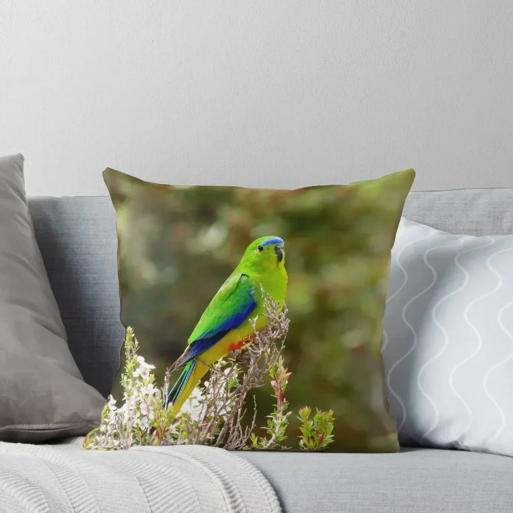 OBP Posing - cushion cover Throw Pillow Christmas Pillows Cushions Cover Christmas Pillow Cases pillow
OBP Posing - cushion cover Throw Pillow Christmas Pillows Cushions Cover Christmas Pillow Cases pillow