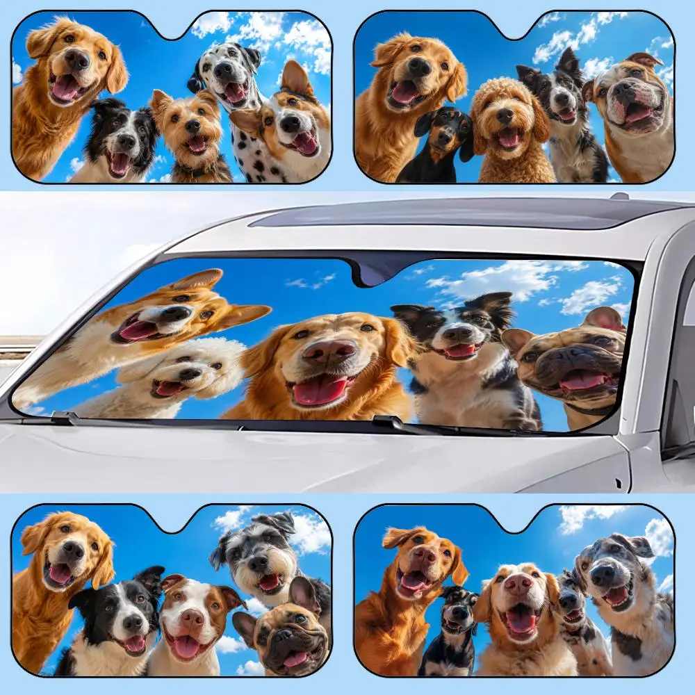 Cute Dog Close Up Sun Visor Retractable Car Sun Visor Anti-Glare UV Protection Front Window Sunshade
Cute Dog Close Up Sun Visor Retractable Car Sun Visor Anti-Glare UV Protection Front Window Sunshade