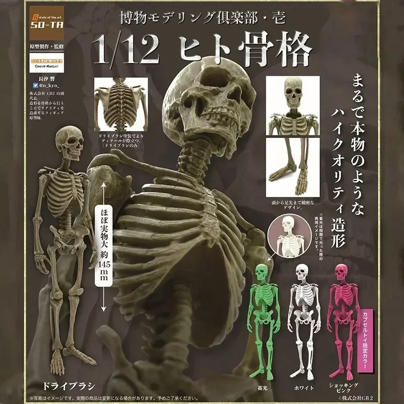 Original Genuine SO-TA 1/12 Gashapon Capsule Toys Action Figure Kawaii Halloween Museum Human Skeleton Man Assembly Model
Original Genuine SO-TA 1/12 Gashapon Capsule Toys Action Figure Kawaii Halloween Museum Human Skeleton Man Assembly Model