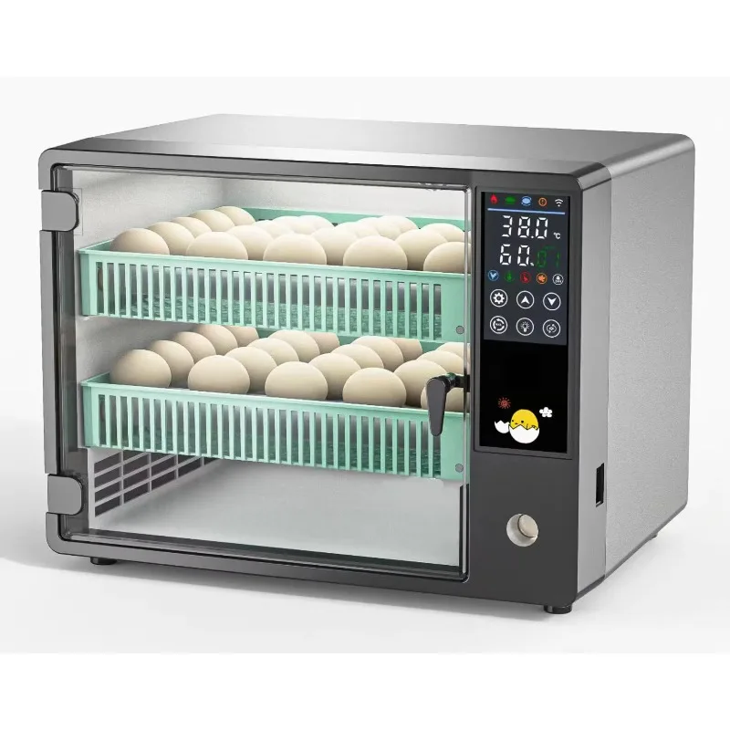 Newest Fully Automatic Mini Egg Incubator 50 Egg Capacity with Dual Power Stylish Design
Newest Fully Automatic Mini Egg Incubator 50 Egg Capacity with Dual Power Stylish Design