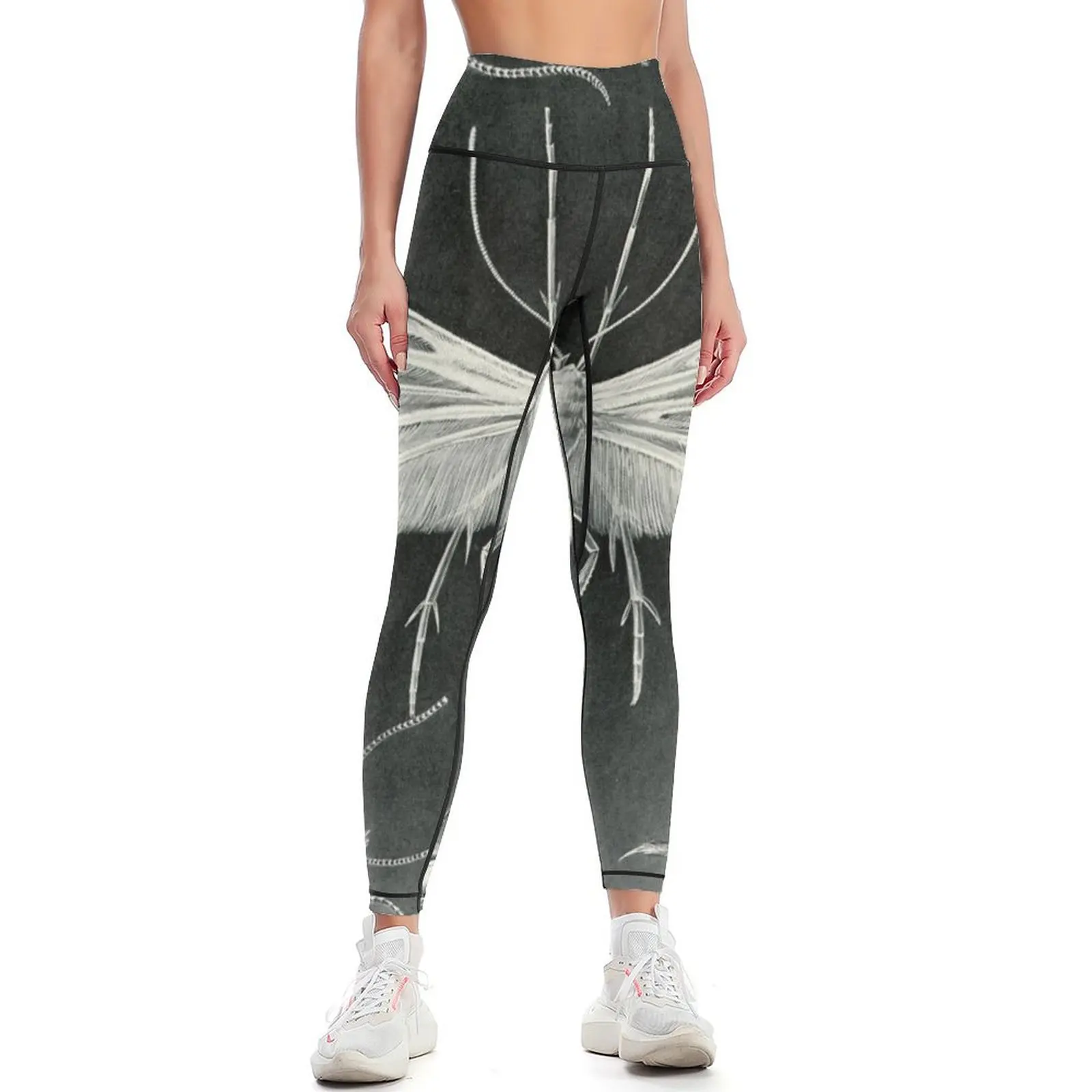 Fungus moths - Ernst Haeckel Leggings Women's sportswear Women's gym high waist Tight fitting woman Womens Leggings
Fungus moths - Ernst Haeckel Leggings Women's sportswear Women's gym high waist Tight fitting woman Womens Leggings