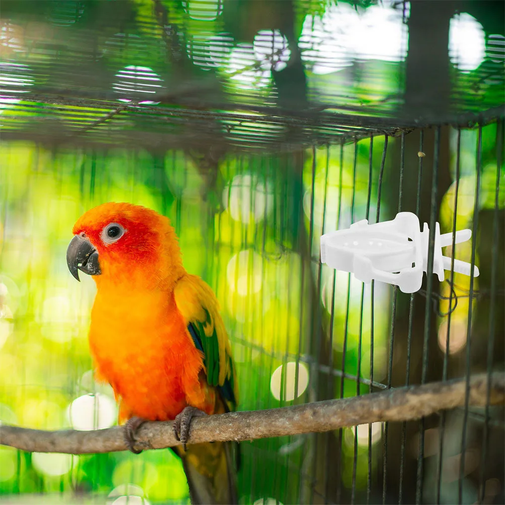 6Pcs Bird Cage Food Holders Lightweight Parrot Vegetable Fruit Clips Feeding Clamp Bird Cage Accessories Parrot Vegetable Clips
6Pcs Bird Cage Food Holders Lightweight Parrot Vegetable Fruit Clips Feeding Clamp Bird Cage Accessories Parrot Vegetable Clips